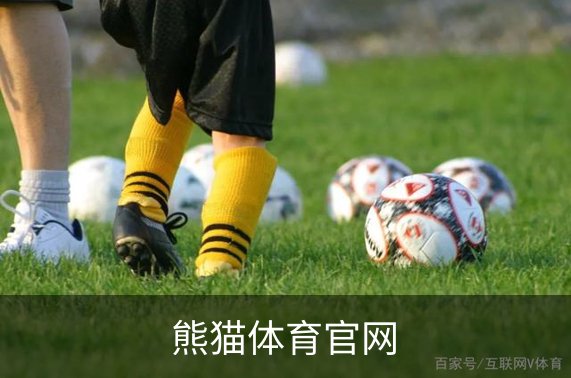 熊猫体育官网介绍
